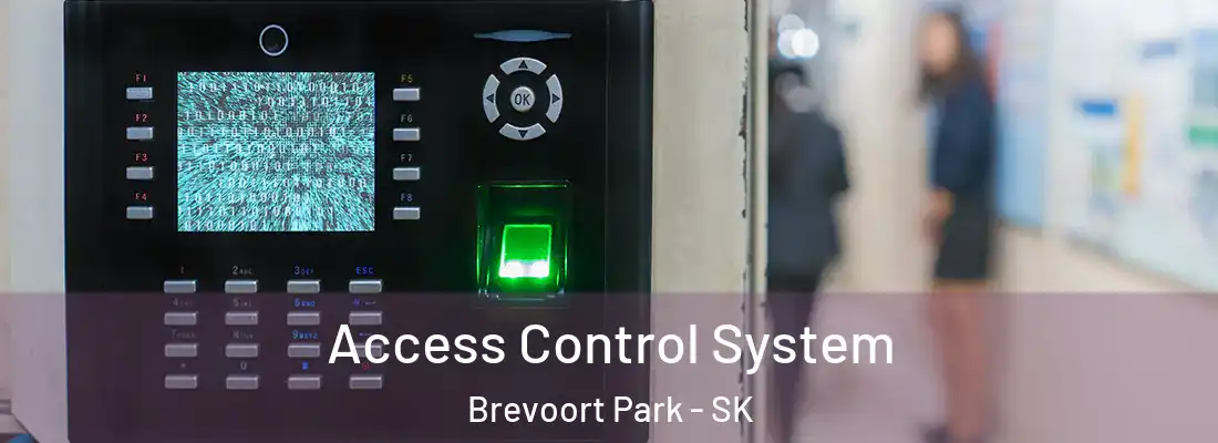  Access Control System Brevoort Park - SK