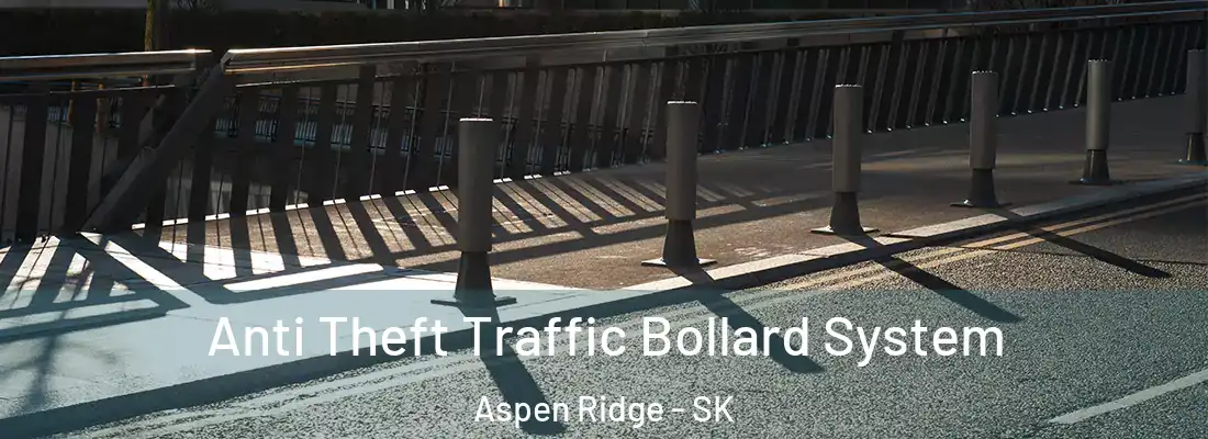  Anti Theft Traffic Bollard System Aspen Ridge - SK