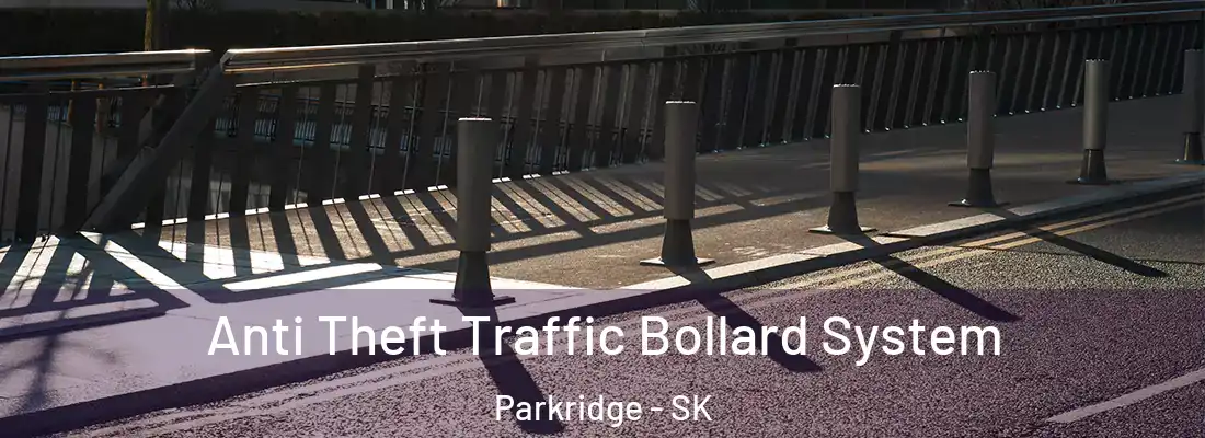  Anti Theft Traffic Bollard System Parkridge - SK