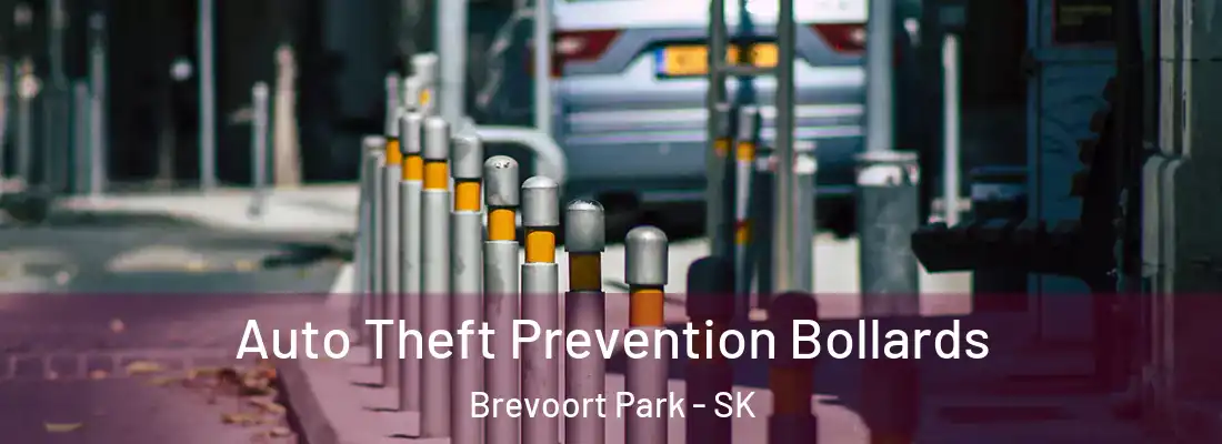  Auto Theft Prevention Bollards Brevoort Park - SK
