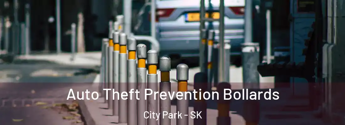  Auto Theft Prevention Bollards City Park - SK