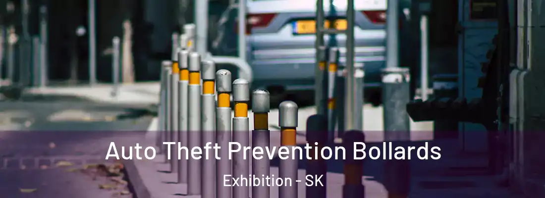  Auto Theft Prevention Bollards Exhibition - SK