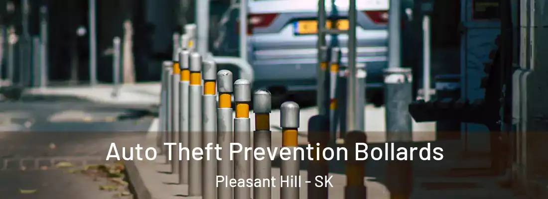  Auto Theft Prevention Bollards Pleasant Hill - SK