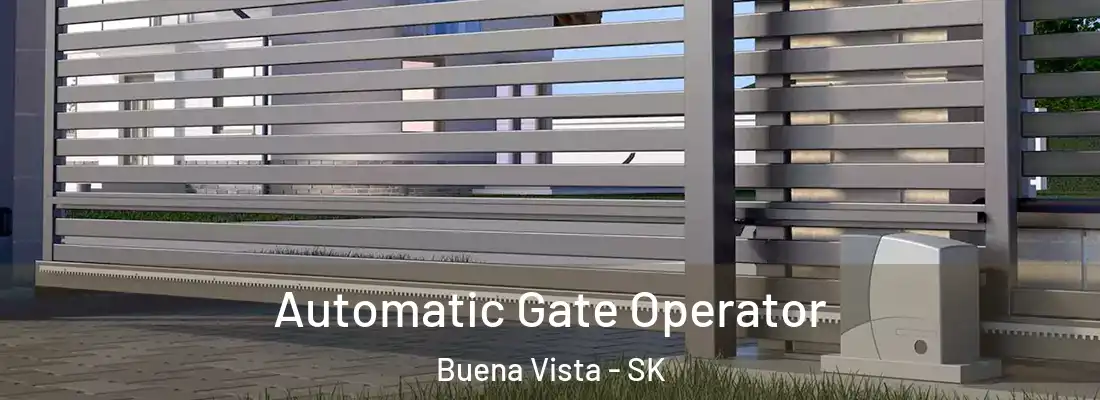  Automatic Gate Operator Buena Vista - SK