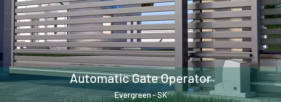 Automatic Gate Operator Evergreen - SK