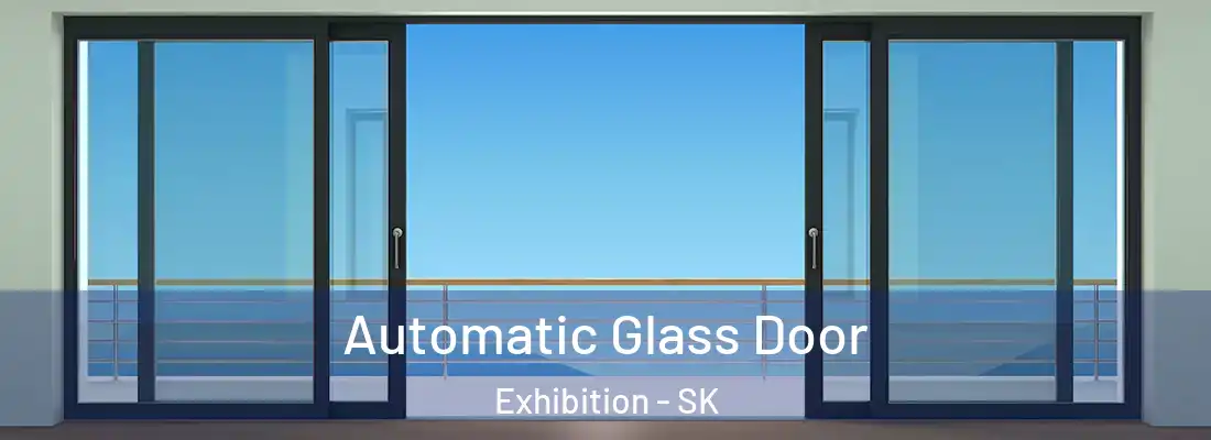  Automatic Glass Door Exhibition - SK