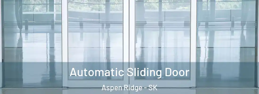  Automatic Sliding Door Aspen Ridge - SK
