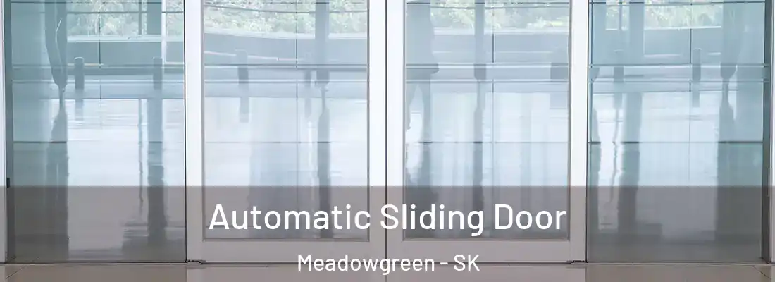  Automatic Sliding Door Meadowgreen - SK