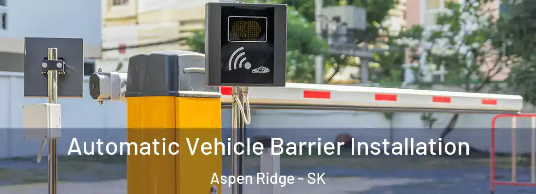  Automatic Vehicle Barrier Installation Aspen Ridge - SK