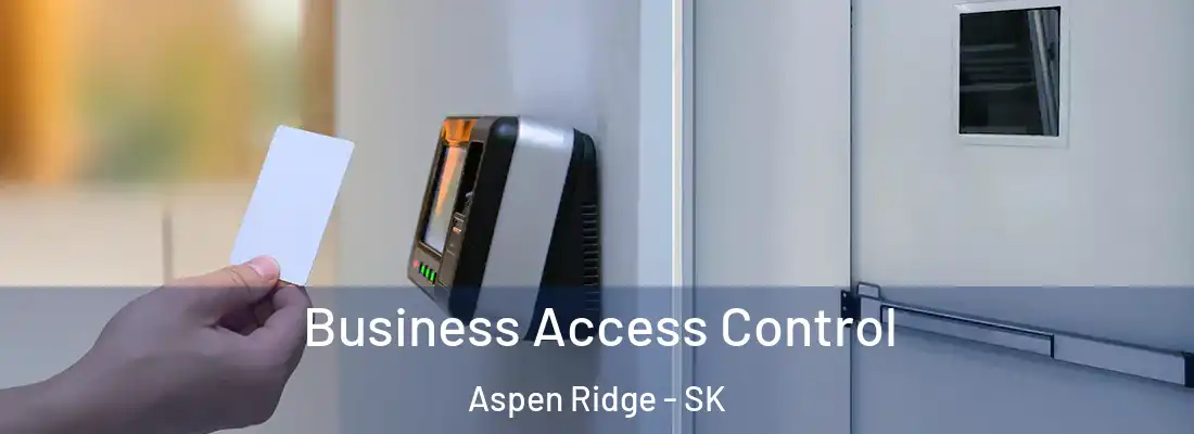  Business Access Control Aspen Ridge - SK