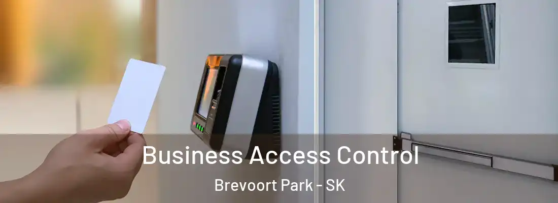  Business Access Control Brevoort Park - SK