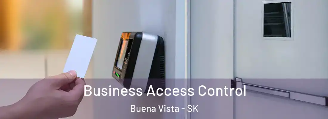  Business Access Control Buena Vista - SK