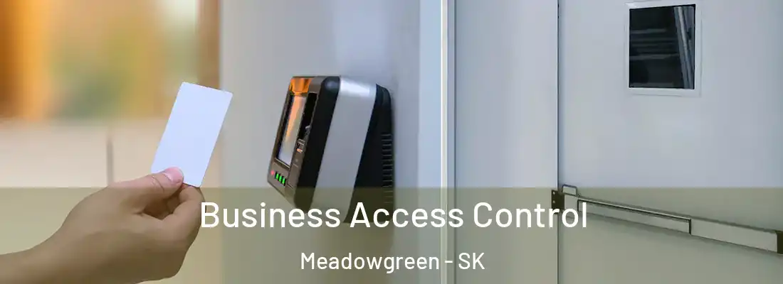  Business Access Control Meadowgreen - SK