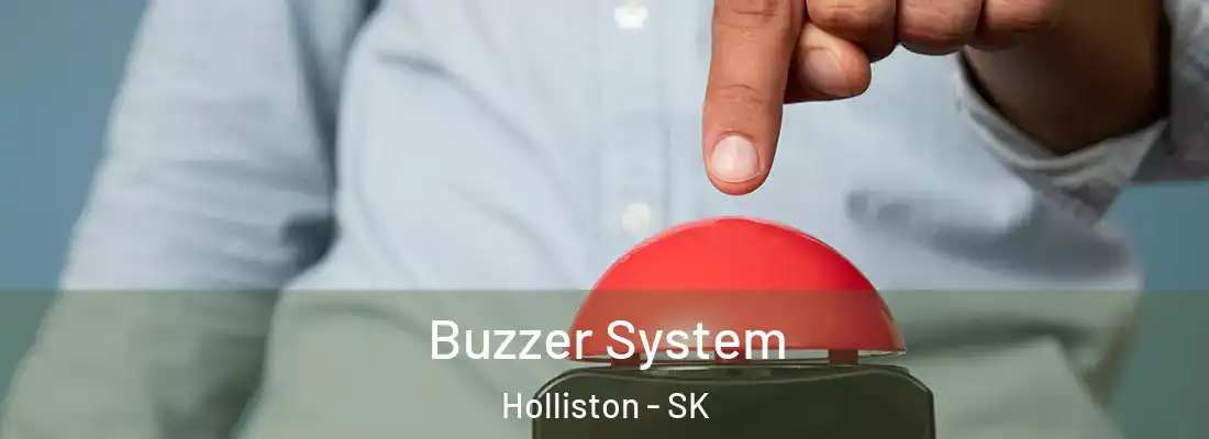  Buzzer System Holliston - SK