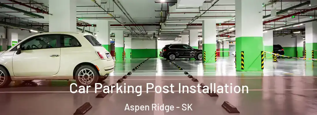  Car Parking Post Installation Aspen Ridge - SK