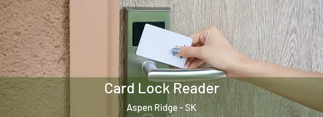  Card Lock Reader Aspen Ridge - SK