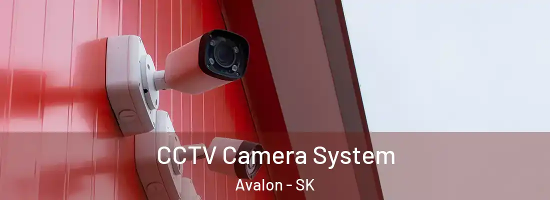  CCTV Camera System Avalon - SK