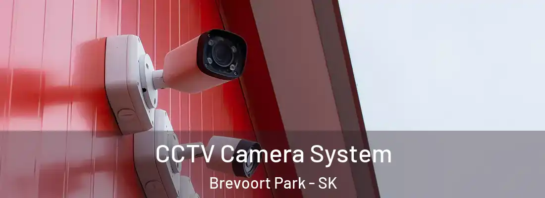  CCTV Camera System Brevoort Park - SK