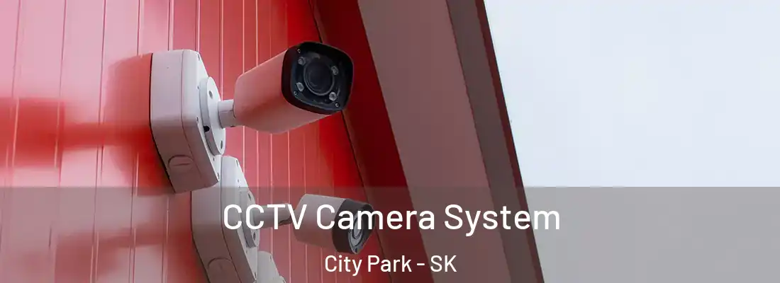  CCTV Camera System City Park - SK