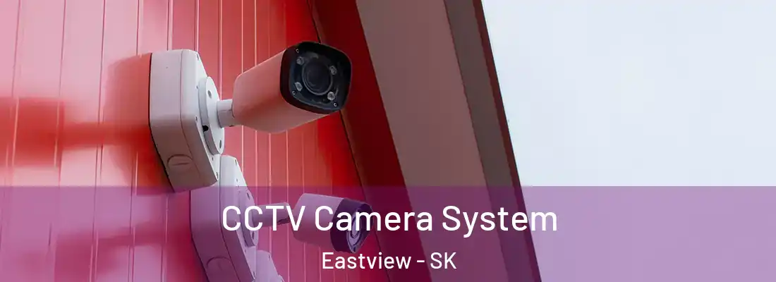  CCTV Camera System Eastview - SK