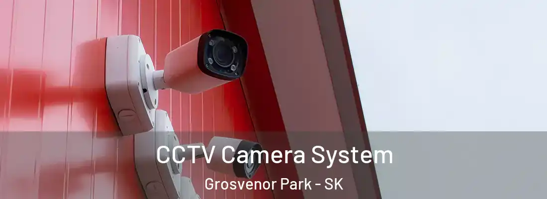  CCTV Camera System Grosvenor Park - SK