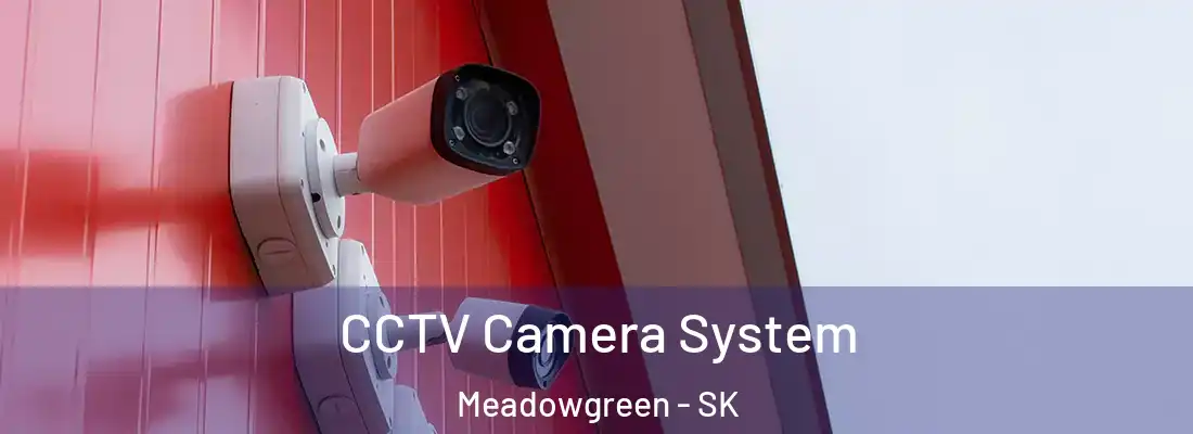  CCTV Camera System Meadowgreen - SK