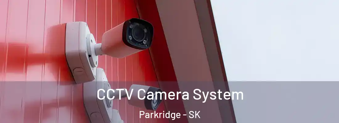  CCTV Camera System Parkridge - SK