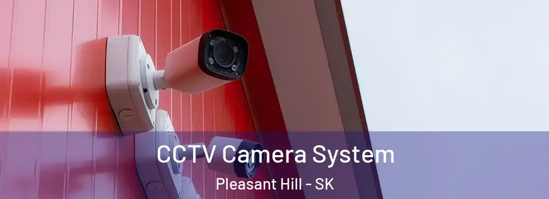 CCTV Camera System Pleasant Hill - SK