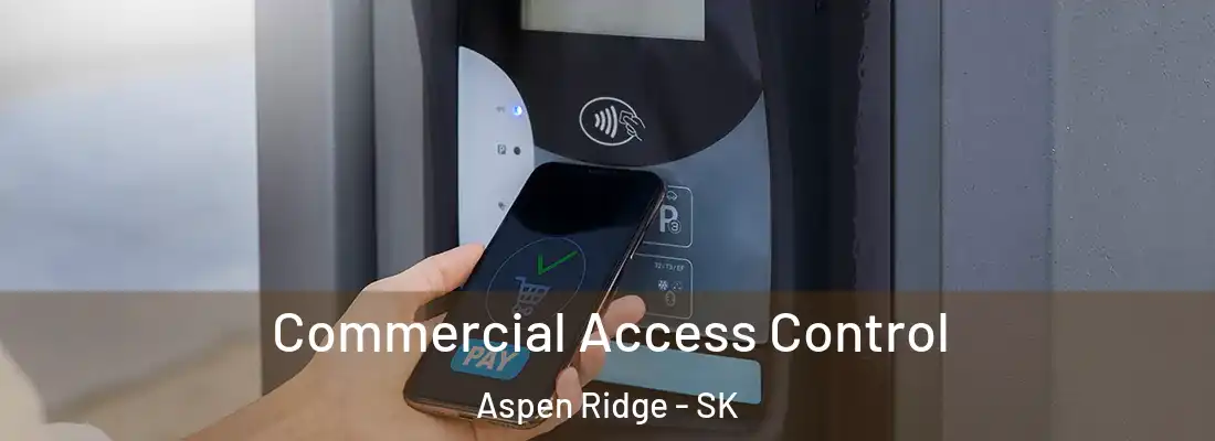  Commercial Access Control Aspen Ridge - SK