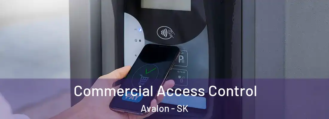  Commercial Access Control Avalon - SK