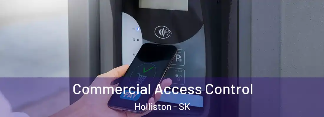  Commercial Access Control Holliston - SK