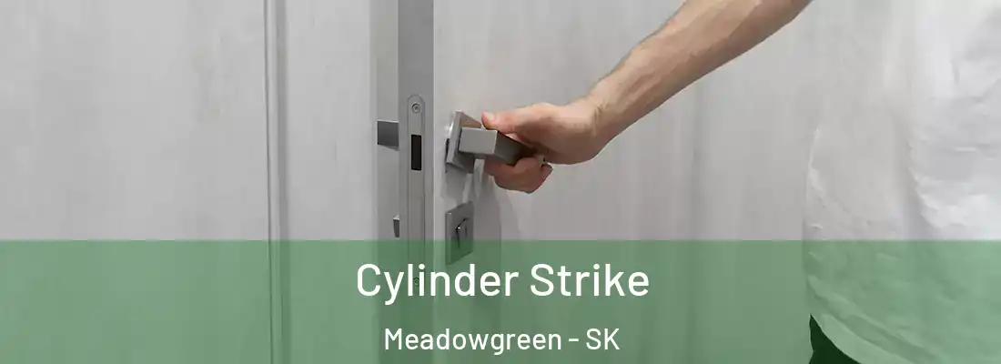  Cylinder Strike Meadowgreen - SK
