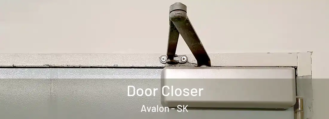  Door Closer Avalon - SK