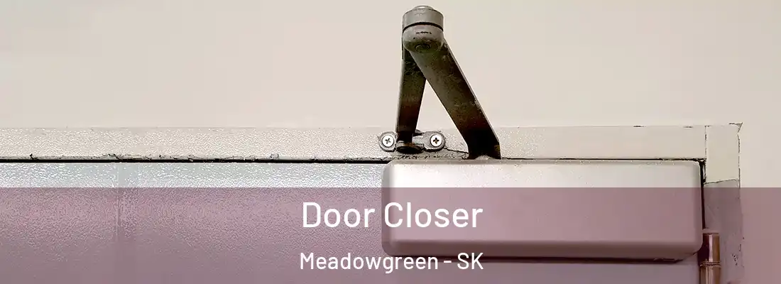  Door Closer Meadowgreen - SK