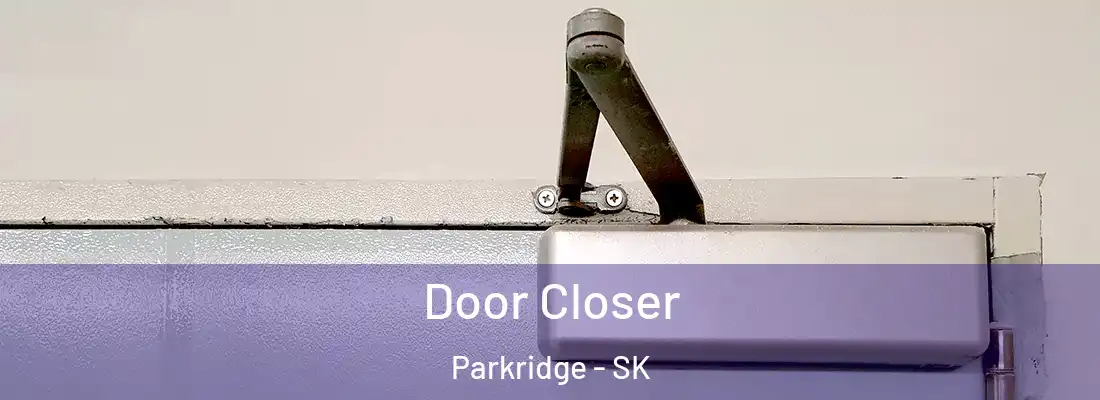  Door Closer Parkridge - SK