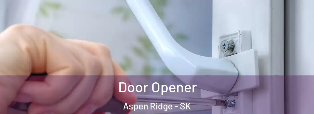  Door Opener Aspen Ridge - SK