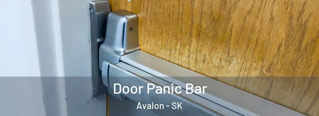  Door Panic Bar Avalon - SK