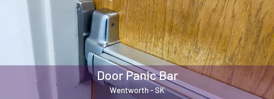  Door Panic Bar Wentworth - SK