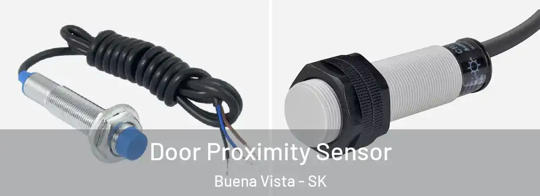  Door Proximity Sensor Buena Vista - SK