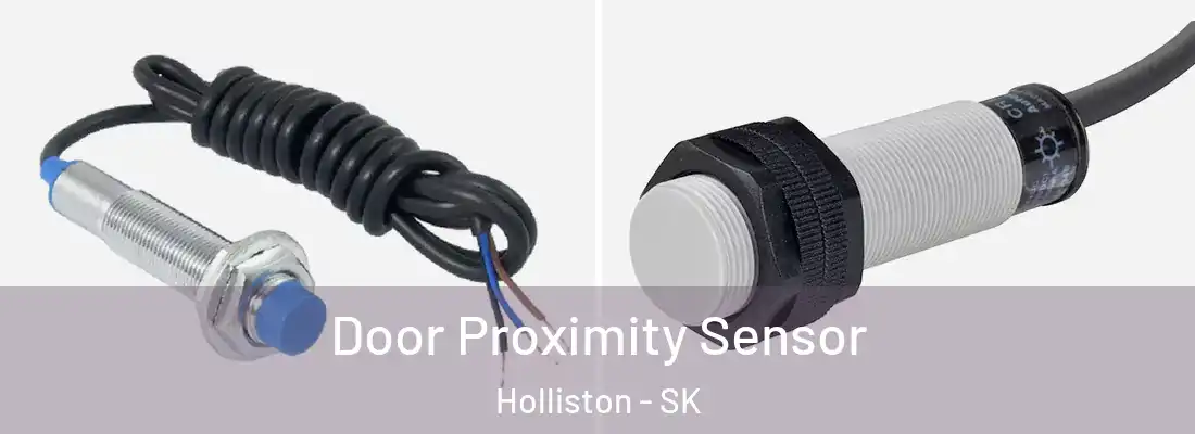  Door Proximity Sensor Holliston - SK