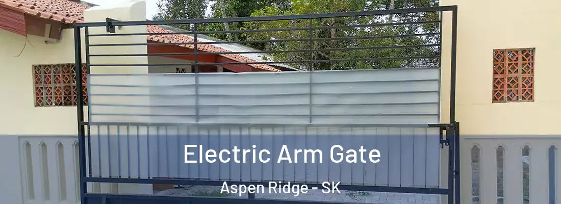  Electric Arm Gate Aspen Ridge - SK
