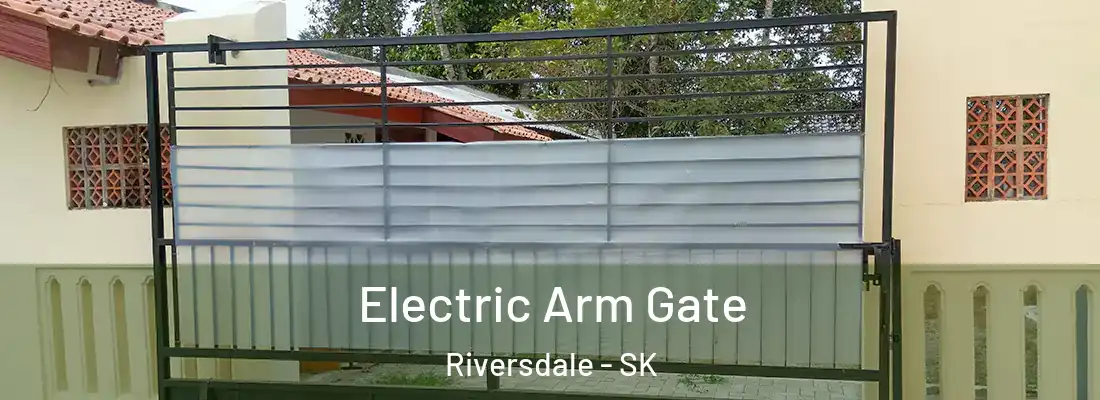  Electric Arm Gate Riversdale - SK