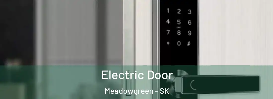  Electric Door Meadowgreen - SK