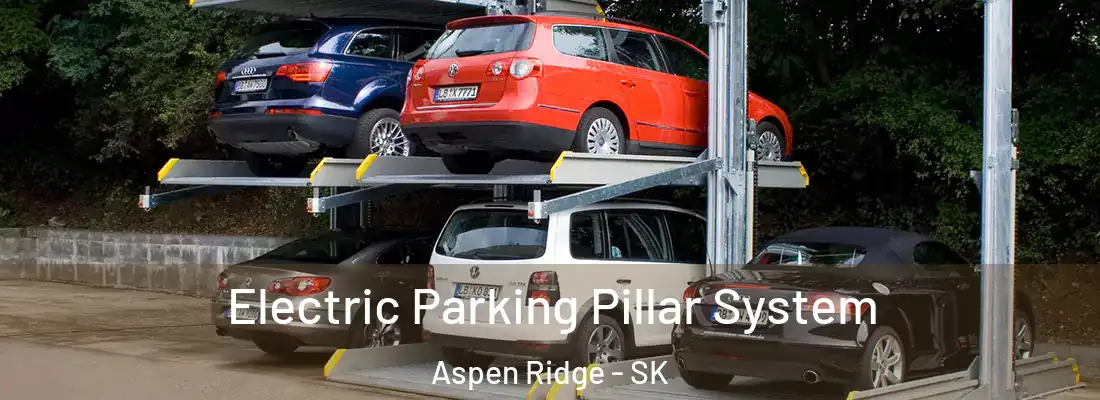  Electric Parking Pillar System Aspen Ridge - SK