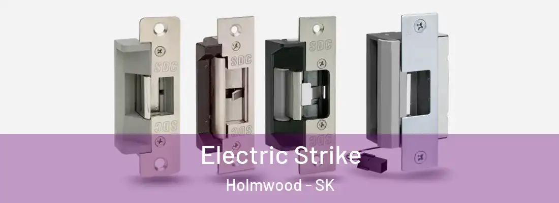  Electric Strike Holmwood - SK