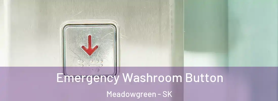  Emergency Washroom Button Meadowgreen - SK