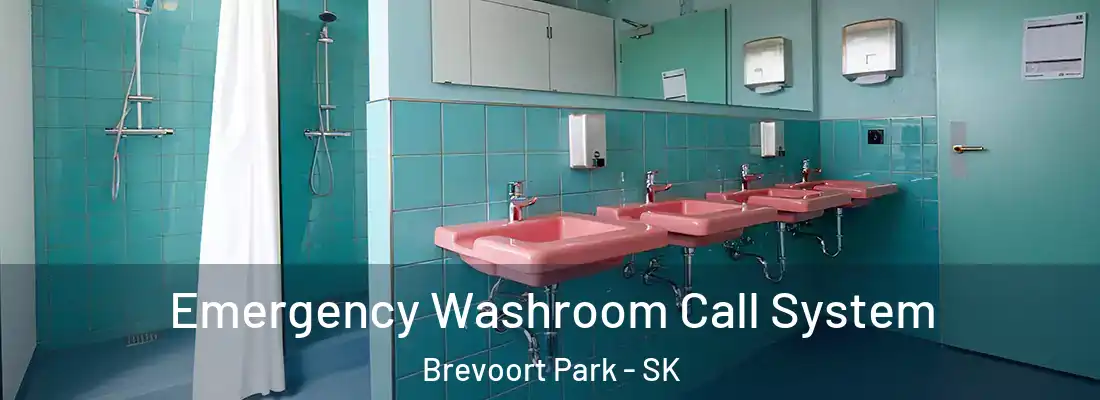  Emergency Washroom Call System Brevoort Park - SK