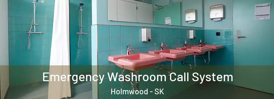  Emergency Washroom Call System Holmwood - SK