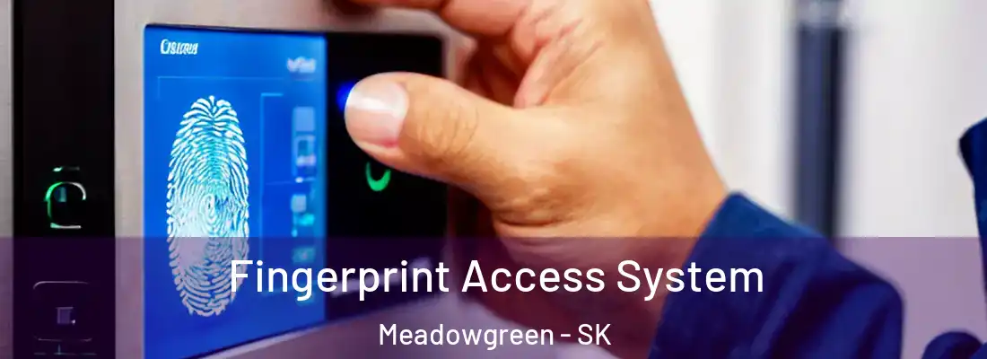  Fingerprint Access System Meadowgreen - SK