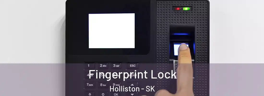  Fingerprint Lock Holliston - SK
